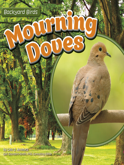 Title details for Mourning Doves by Lisa J. Amstutz - Wait list